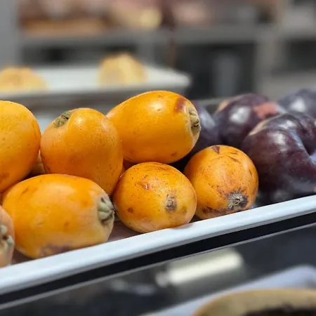 Alendouro Hotel Macedo de Cavaleiros