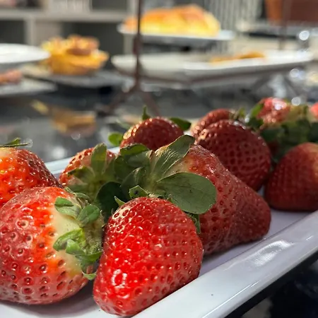 Alendouro Hotel Macedo de Cavaleiros