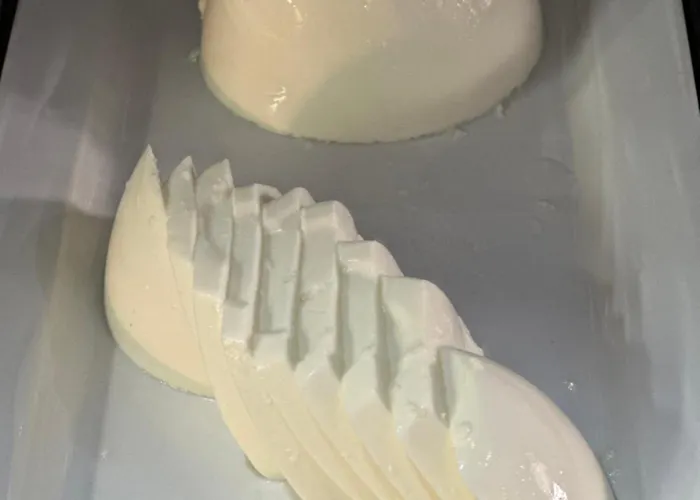 Alendouro Macedo de Cavaleiros