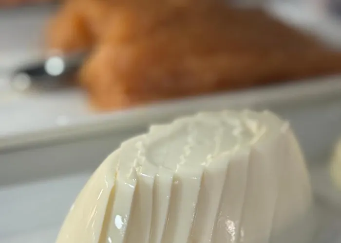 فندق Alendouro ماسيدو دي كافالييروس