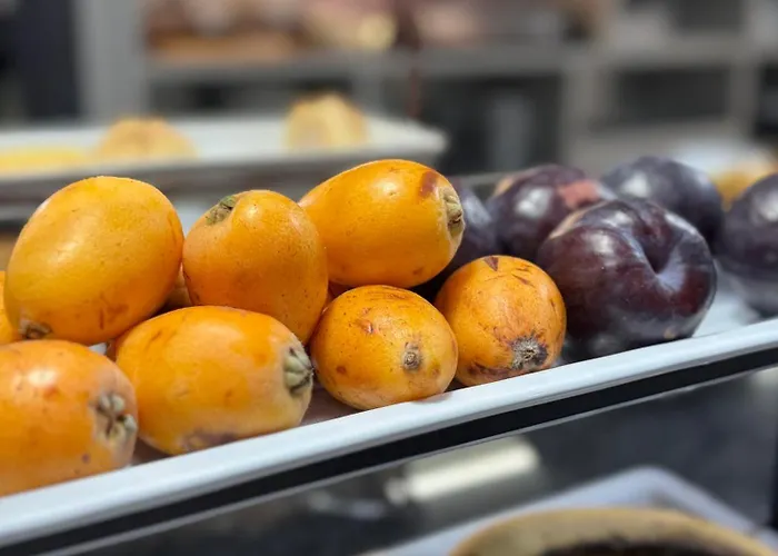 Alendouro Hotel Macedo de Cavaleiros