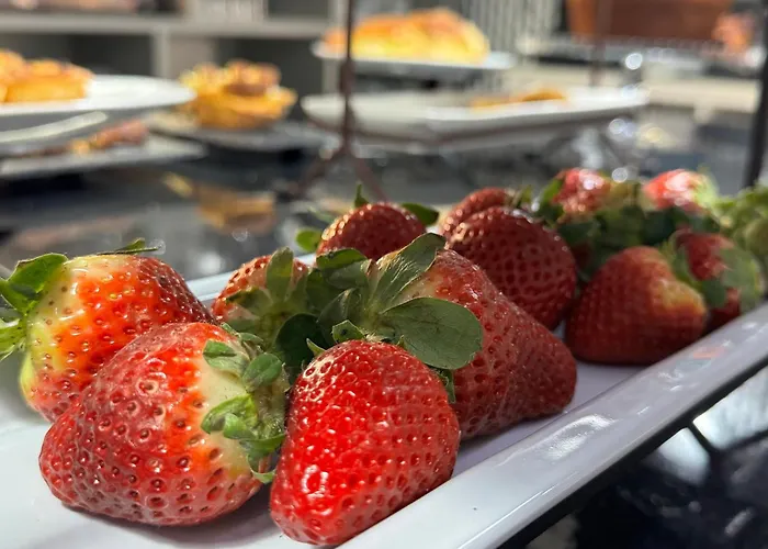 Alendouro فندق ماسيدو دي كافالييروس