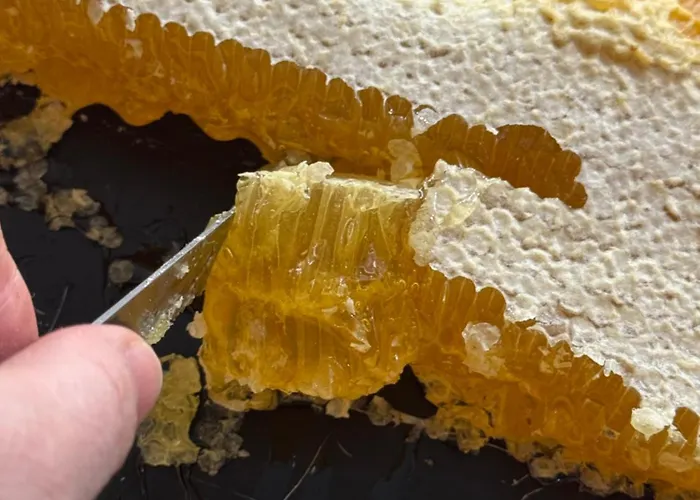 Alendouro فندق 2*